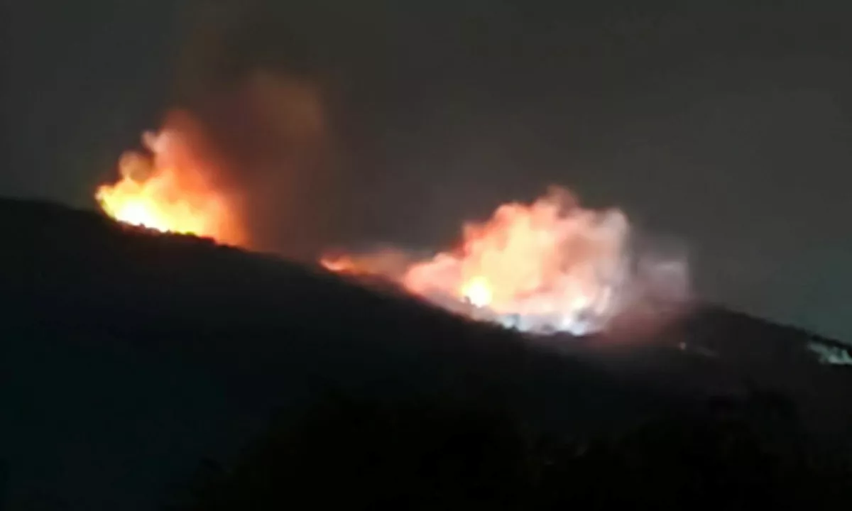 Slika članka