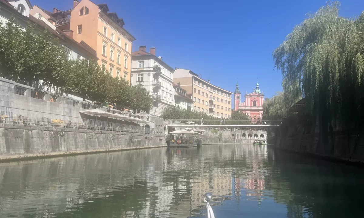 Slika članka