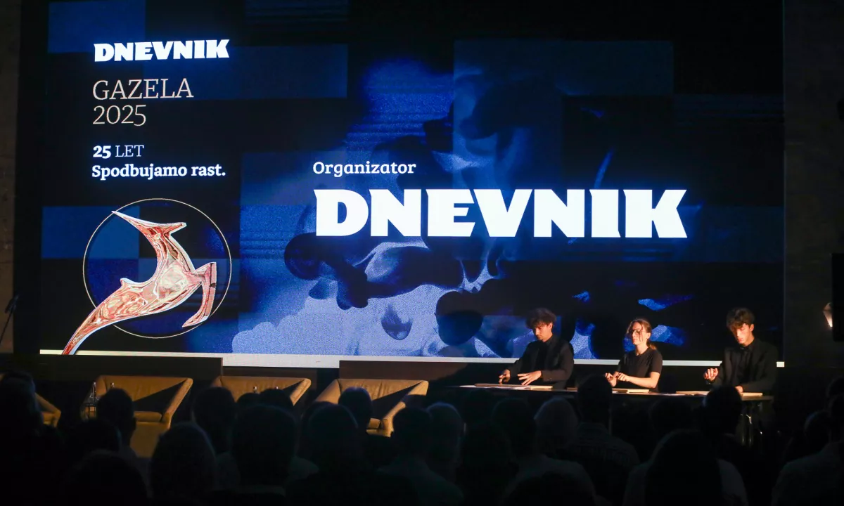 Slika članka