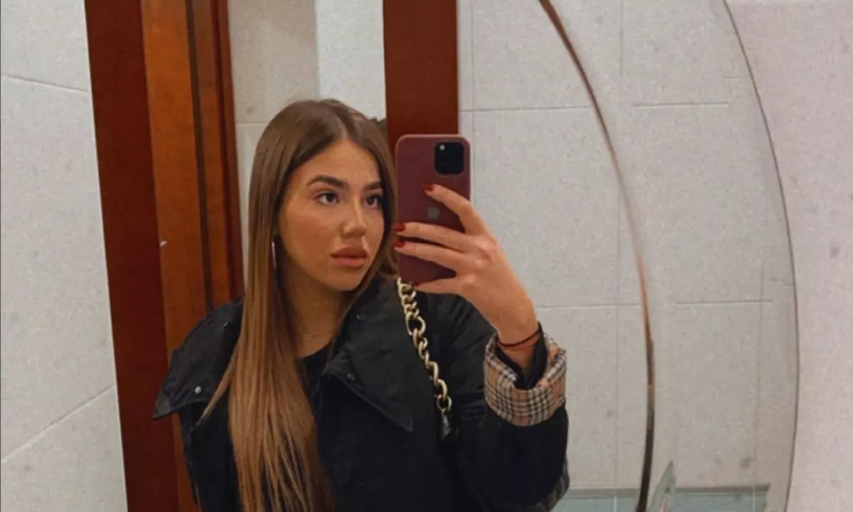 Slika članka