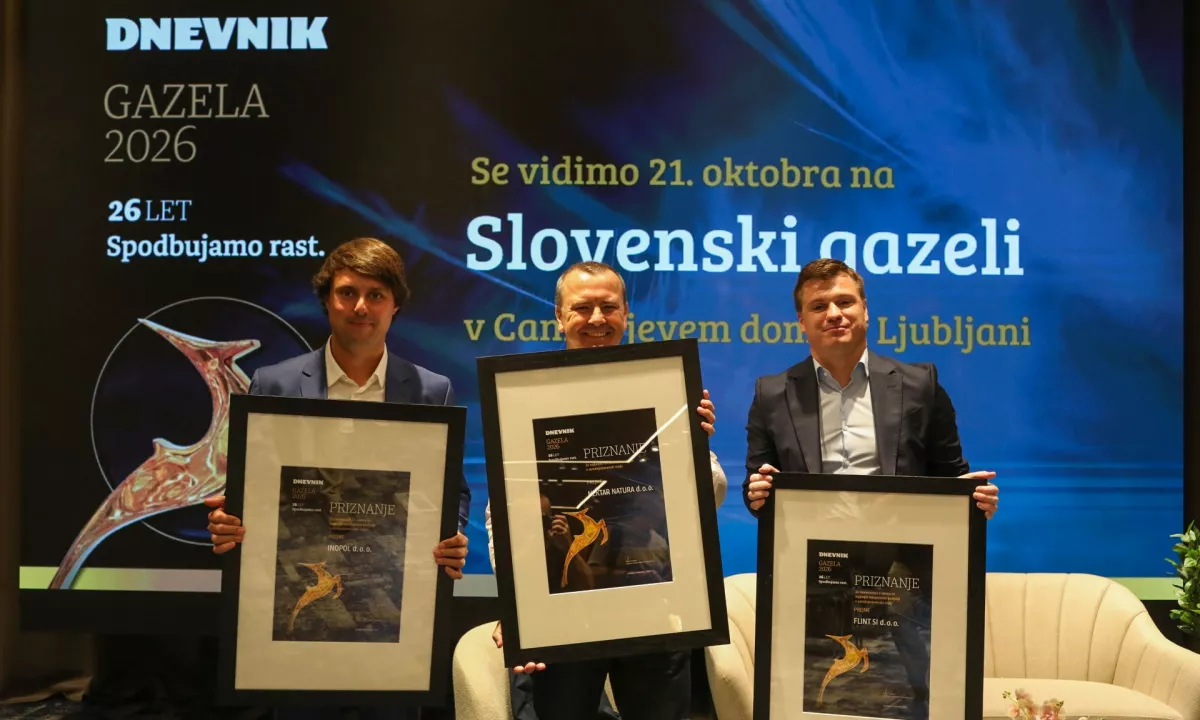 Slika članka