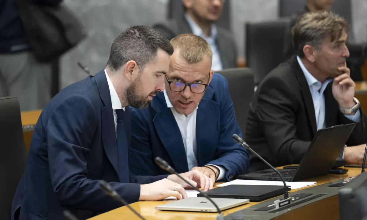Slika članka