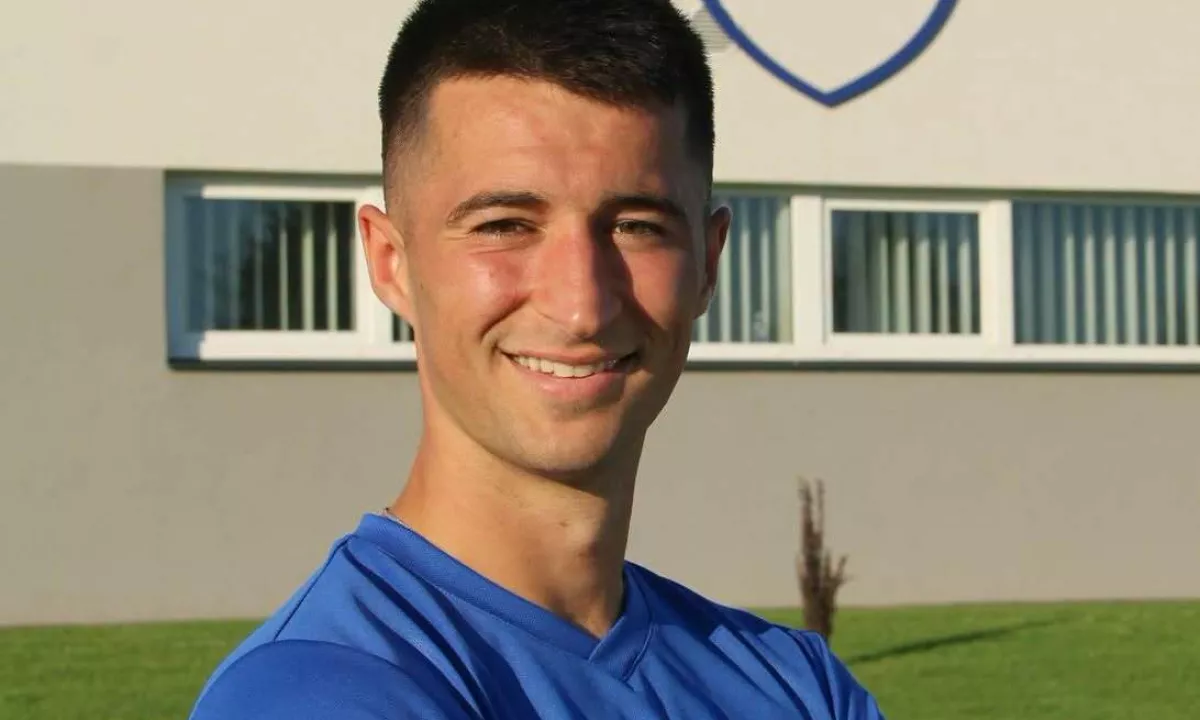 Slika članka