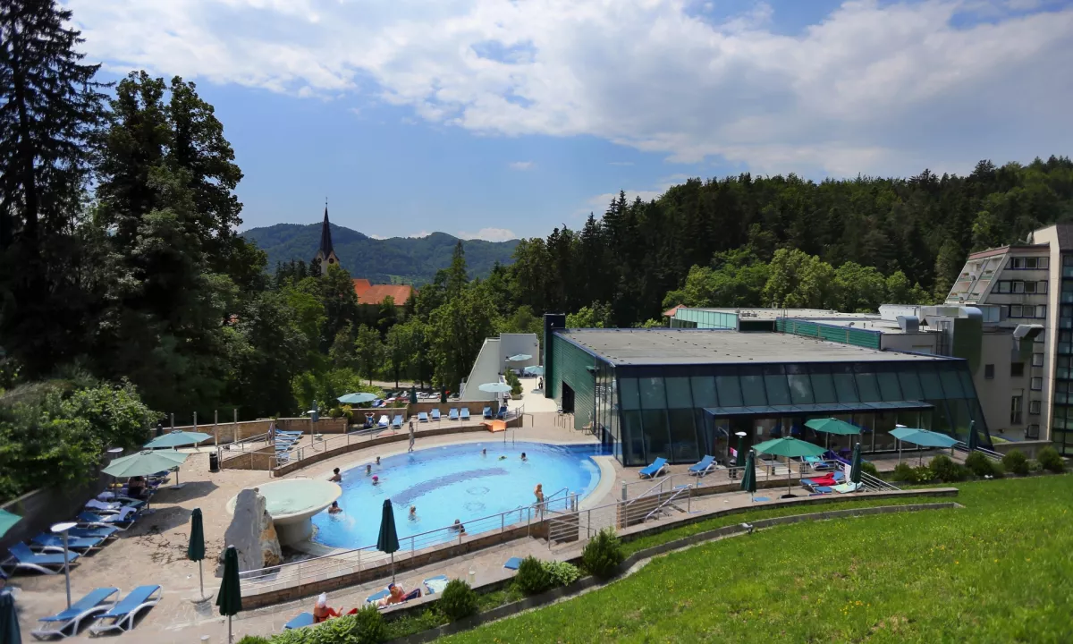 Slika članka
